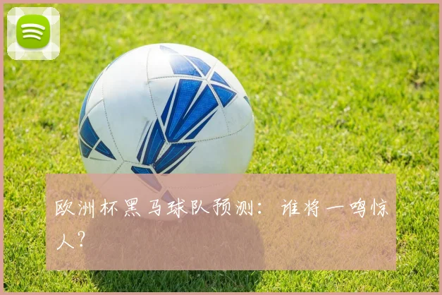 欧洲杯黑马球队预测：谁将一鸣惊人？